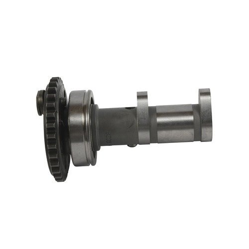 Camshaft Exhaust