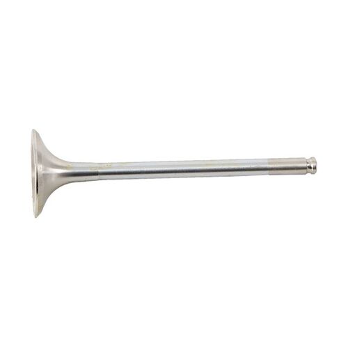 Hot Cams Valve Exhaust Steel