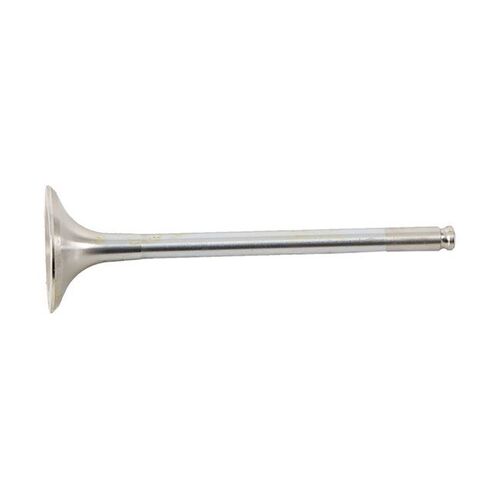 Hot Cams Valve Exhaust Steel for BETA RR525 4T 2005 to 2009