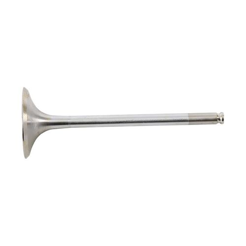 Hot Cams Valve Intake Steel