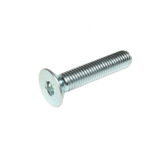 WHITES SCREW C/S ALLEN 4X20MM PKT=50 (thread pitch 4 x 0.7)