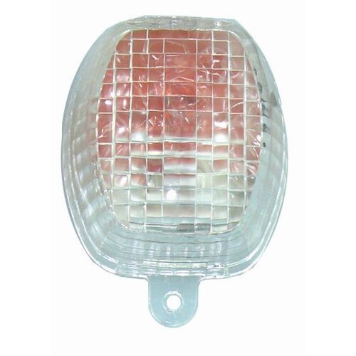ZX9R 9899 Clear Lens
