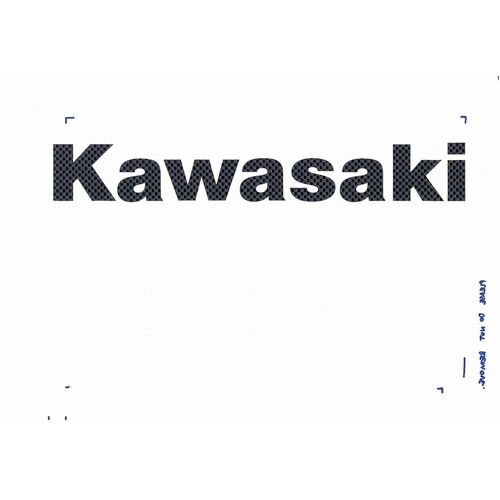 Kawasaki Carbon Fibre Sticker (1 Pair)