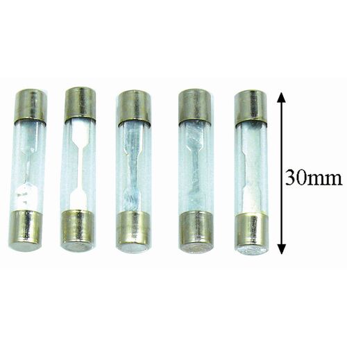 One 10Amp 30MM Glass Fuse