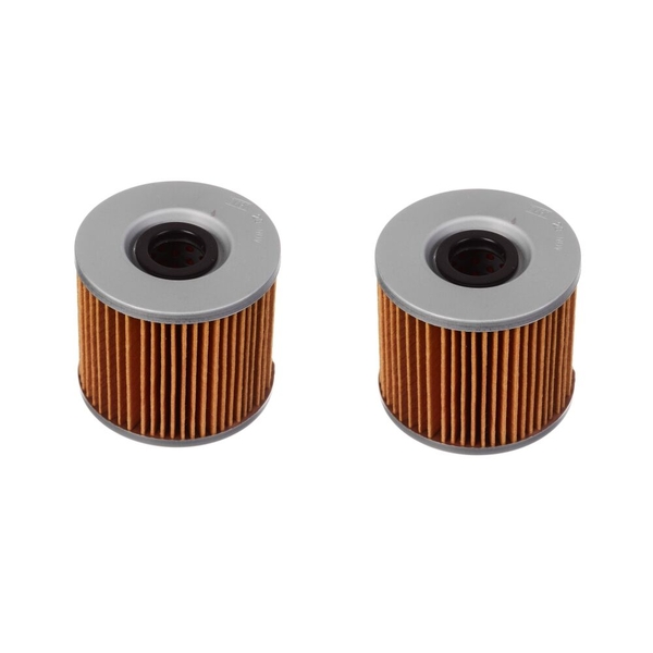 TWO OIL FILTERS for SUZUKI GSX250 Katana 1991 Grey Import