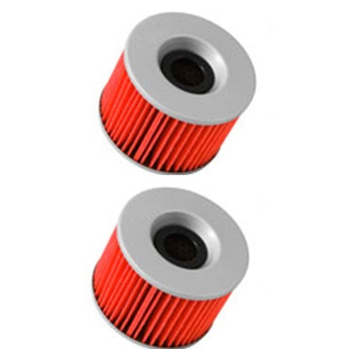 OIL FILTER 2 PACK FOR KAWASAKI  GPX250 1994 1995 1996 1997 1998 1999 2000 2001
