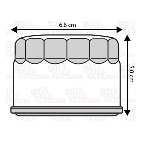 MOTORCYCLE OIL FILTER for YAMAHA YFM660R RAPTOR 2001 to 2005