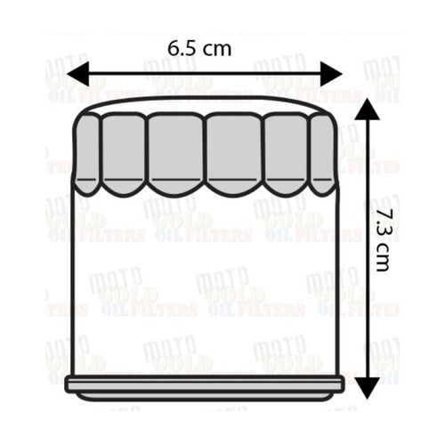 OIL FILTER for BUELL 900 LIGHTNING CityX XB9SX 2005 to 2010