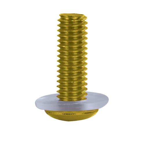 OXFORD SCREEN SCREWS GLD (NEW) Set of 8