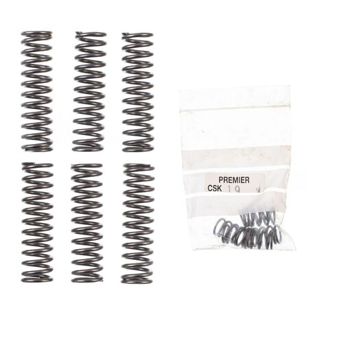 PREMIER CLUTCH SPRINGS - HEAVY DUTY - INDENT