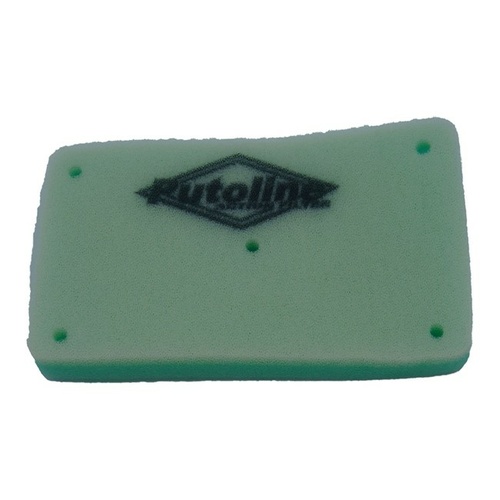 Twin Stage Air Filter 