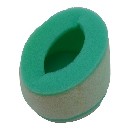 Twin Stage Air Filter 