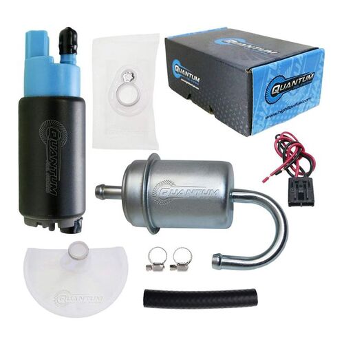 Quantum In-Tank Efi  Fuel Pump filter,