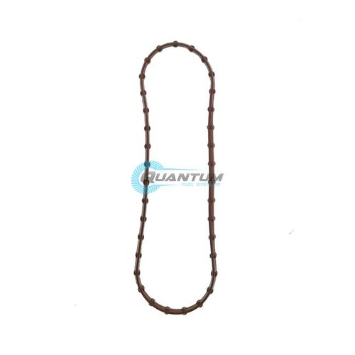 Quantum Fuel Pump Tank Seal Gasket