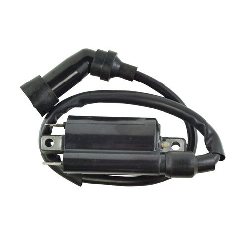IGN COIL ASSTD
