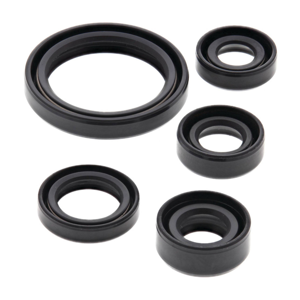 OIL SEAL SET for Suzuki DR200SE Trojan 1995 to 2017