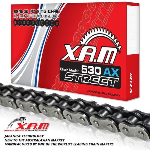 X-RING CHAIN 110 Links  for Yamaha FZS600 FAZER 1998-2004